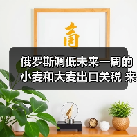 俄罗斯调低未来一周的小麦和大麦出口关税 来源：互联网 2024-04-30（图3）