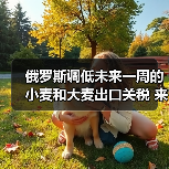 俄罗斯调低未来一周的小麦和大麦出口关税 来源：互联网 2024-04-30（图4）