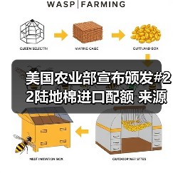 美国农业部宣布颁发#22陆地棉进口配额 来源：互联网 2024-03-15（图2）