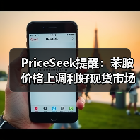 PriceSeek提醒：苯胺价格上调利好现货市场 来源：互联网 2025-11-07（图4）