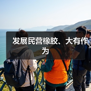 发展民营橡胶、大有作为