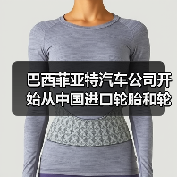 巴西菲亚特汽车公司开始从中国进口轮胎和轮辋（图2）