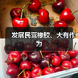 发展民营橡胶、大有作为(图4) 发展民营橡胶、大有作为(图4)