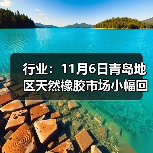 行业:11月6日青岛地区天然橡胶市场小幅回暖 来源:互联网 2025-11-07(图4) 行业:11月6日青岛地区天然橡胶市场小幅回暖 来源:互联网 2025-11-07(图4)
