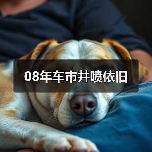 08年车市井喷依旧（图4）