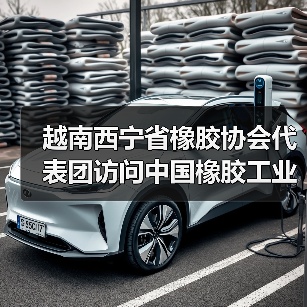 越南西宁省橡胶协会代表团访问中国橡胶工业协会（图2）