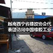 越南西宁省橡胶协会代表团访问中国橡胶工业协会（图3）