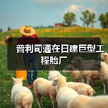 普利司通在日建巨型工程胎厂（图4）
