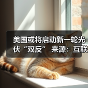 美国或将启动新一轮光伏“双反” 来源：互联网 2024-04-09（图2）