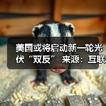 美国或将启动新一轮光伏“双反” 来源：互联网 2024-04-09（图3）