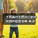 土耳其对五国进口的光伏组件征收关税 来源：互联网 2024-04-03（图2）