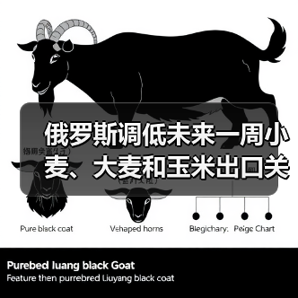 俄罗斯调低未来一周小麦、大麦和玉米出口关税 来源：互联网 2024-02-27（图4）