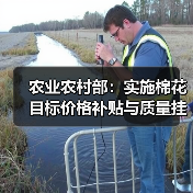 农业农村部：实施棉花目标价格补贴与质量挂钩政策 来源：互联网 2024-02-20（图4）