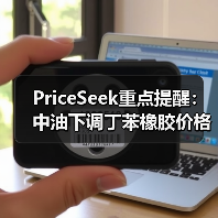 PriceSeek重点提醒:中油下调丁苯橡胶价格事件 来源:互联网 2025-11-07(图2) PriceSeek重点提醒:中油下调丁苯橡胶价格事件 来源:互联网 2025-11-07(图2)