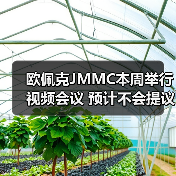欧佩克JMMC本周举行视频会议 预计不会提议减产