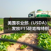 美国农业部（USDA）：发放#15陆地棉特别进口配额 来源：互联网 2024-01-26（图3）