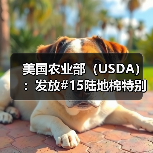 美国农业部（USDA）：发放#15陆地棉特别进口配额 来源：互联网 2024-01-26（图4）