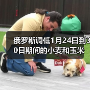 俄罗斯调低1月24日到30日期间的小麦和玉米出口关税 来源：互联网 2024-01-23（图3）