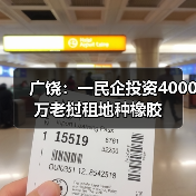 广饶：一民企投资4000万老挝租地种橡胶（图4）