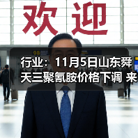 行业:11月5日山东舜天三聚氰胺价格下调 来源:互联网 2025-11-07(图3) 行业:11月5日山东舜天三聚氰胺价格下调 来源:互联网 2025-11-07(图3)