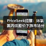 PriceSeek提醒:环氧氯丙烷报价下跌市场分析 来源:互联网 2025-11-07(图3) PriceSeek提醒:环氧氯丙烷报价下跌市场分析 来源:互联网 2025-11-07(图3)