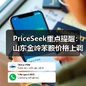 PriceSeek重点提醒：山东金岭苯胺价格上调100元 来源：互联网 2025-11-07（图2）
