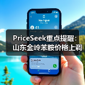 PriceSeek重点提醒：山东金岭苯胺价格上调100元 来源：互联网 2025-11-07（图4）