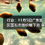 行业:11月5日广东地区萤石市场价格下滑 来源:互联网 2025-11-07(图2) 行业:11月5日广东地区萤石市场价格下滑 来源:互联网 2025-11-07(图2)