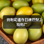 普利司通在日建巨型工程胎厂