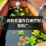 普利司通在日建巨型工程胎厂（图4）