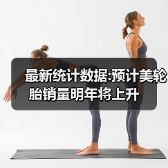 最新统计数据:预计美轮胎销量明年将上升（图4）