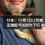 行业:11月3日江苏地区醋酸市场弱势下行 来源:互联网 2025-11-07(图3) 行业:11月3日江苏地区醋酸市场弱势下行 来源:互联网 2025-11-07(图3)