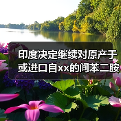 印度决定继续对原产于或进口自xx的间苯二胺征收反倾销税 来源：互联网 2024-02-26（图4）