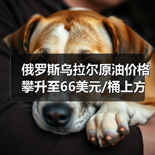 俄罗斯乌拉尔原油价格攀升至66美元/桶上方 来源：互联网 2024-02-18（图4）