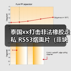 泰国xx打击非法橡胶走私 RSS3烟熏片（非块状）价格上涨
