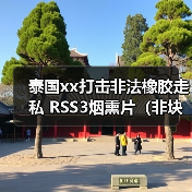 泰国xx打击非法橡胶走私 RSS3烟熏片（非块状）价格上涨 来源：互联网 2024-02-05（图3）