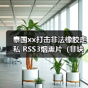 泰国xx打击非法橡胶走私 RSS3烟熏片（非块状）价格上涨 来源：互联网 2024-02-05（图4）