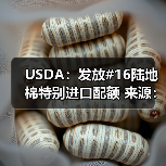 USDA：发放#16陆地棉特别进口配额 来源：互联网 2024-02-04（图2）