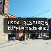USDA：发放#16陆地棉特别进口配额 来源：互联网 2024-02-04（图4）