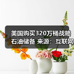 美国购买320万桶战略石油储备 来源：互联网 2024-01-22（图3）