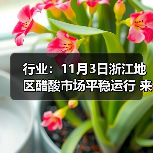 行业：11月3日浙江地区醋酸市场平稳运行