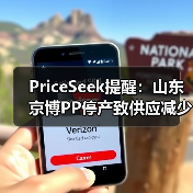 PriceSeek提醒：山东京博PP停产致供应减少 来源：互联网 2025-11-07（图2）
