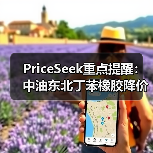 PriceSeek重点提醒：中油东北丁苯橡胶降价500元/吨