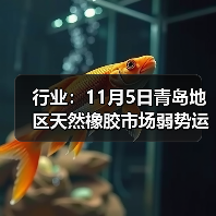 行业：11月5日青岛地区天然橡胶市场弱势运行 来源：互联网 2025-11-07（图2）