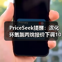 PriceSeek提醒：滨化环氧氯丙烷报价下调100元