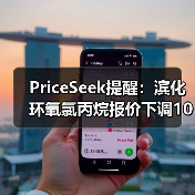 PriceSeek提醒：滨化环氧氯丙烷报价下调100元 来源：互联网 2025-11-06（图2）