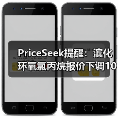 PriceSeek提醒：滨化环氧氯丙烷报价下调100元 来源：互联网 2025-11-06（图3）