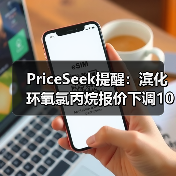 PriceSeek提醒：滨化环氧氯丙烷报价下调100元 来源：互联网 2025-11-06（图4）