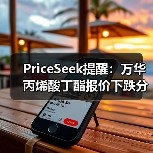 PriceSeek提醒:万华丙烯酸丁酯报价下跌分析 来源:互联网 2025-11-06(图2) PriceSeek提醒:万华丙烯酸丁酯报价下跌分析 来源:互联网 2025-11-06(图2)