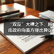 “双反”大棒之下，越南政府向美方提出异议（图3）